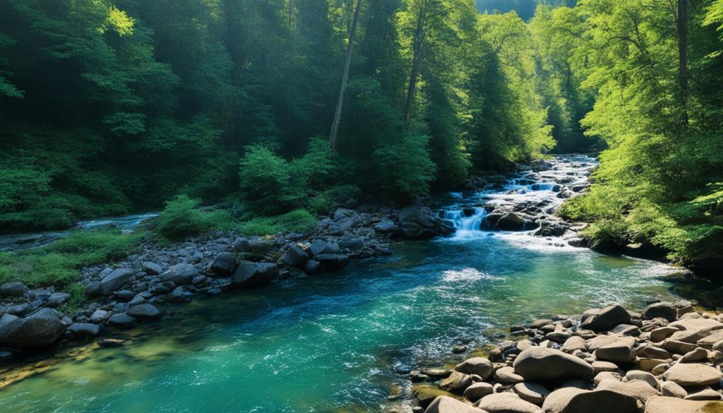water sources
